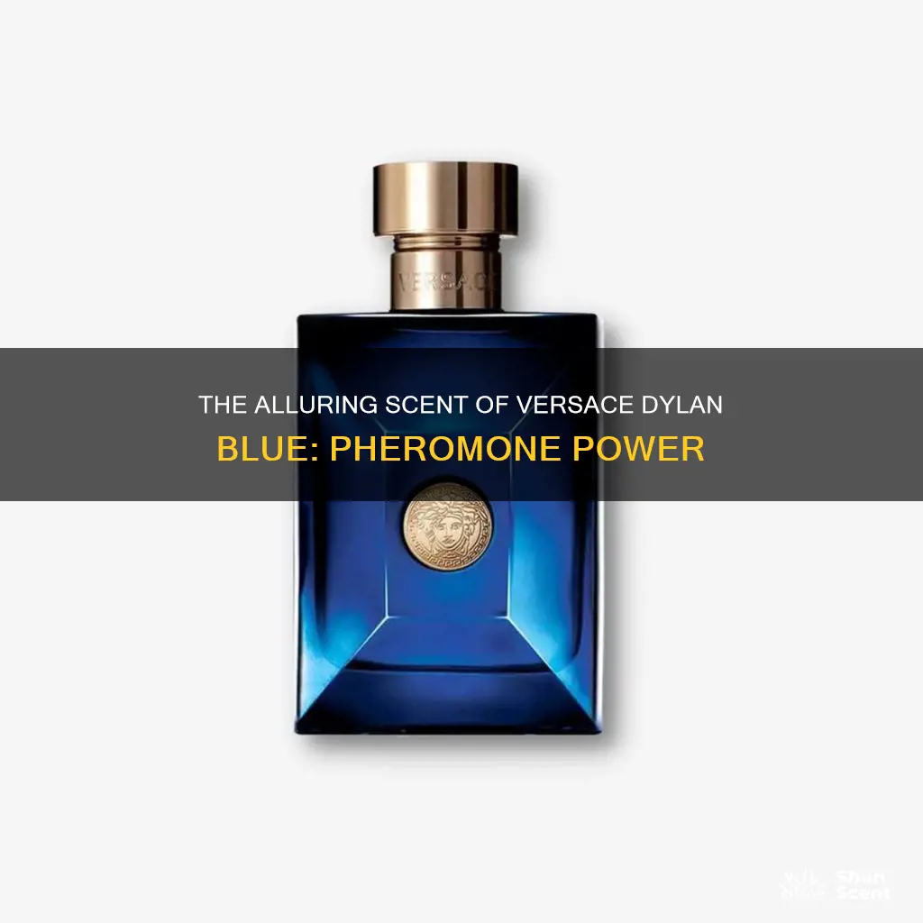 does versace dylan blue cologne have pheromones