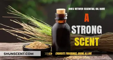 Exploring Vetiver Essential Oil's Potent Aroma: Is It Overwhelmingly Strong?