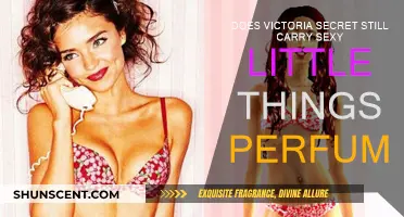 Victoria's Secret Sexy Little Things: Still Available?