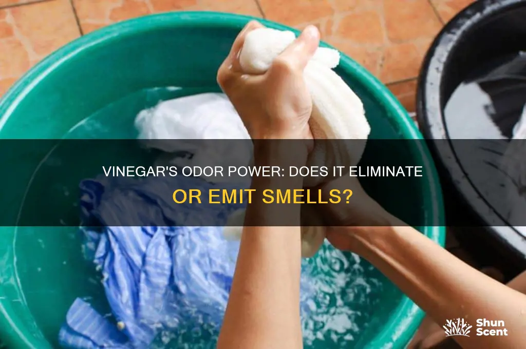 does vinigar give oof scent or takes it