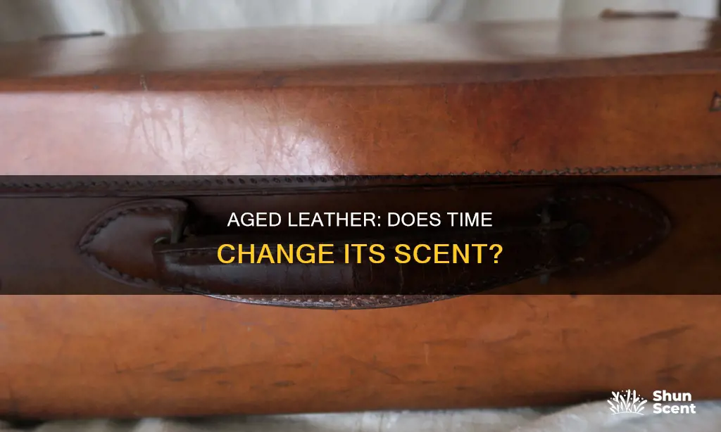 does vintage english leather change in aroma