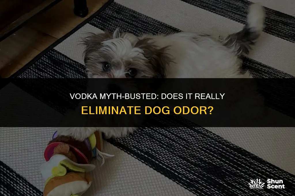 does vodka really remove dog smell