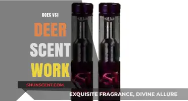 Does VS1 Deer Scent Work? Unveiling the Truth for Hunters