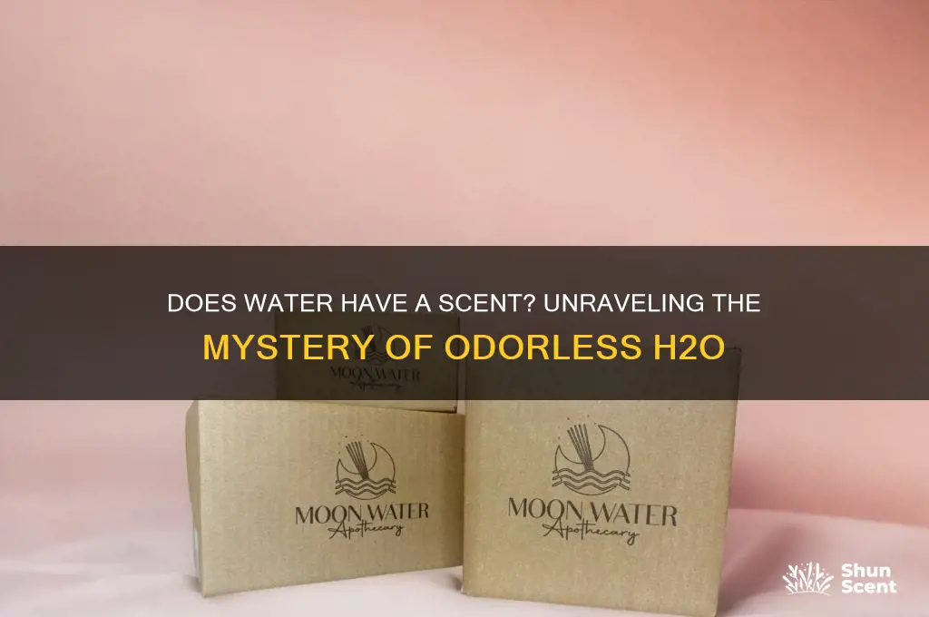 does water have a scent