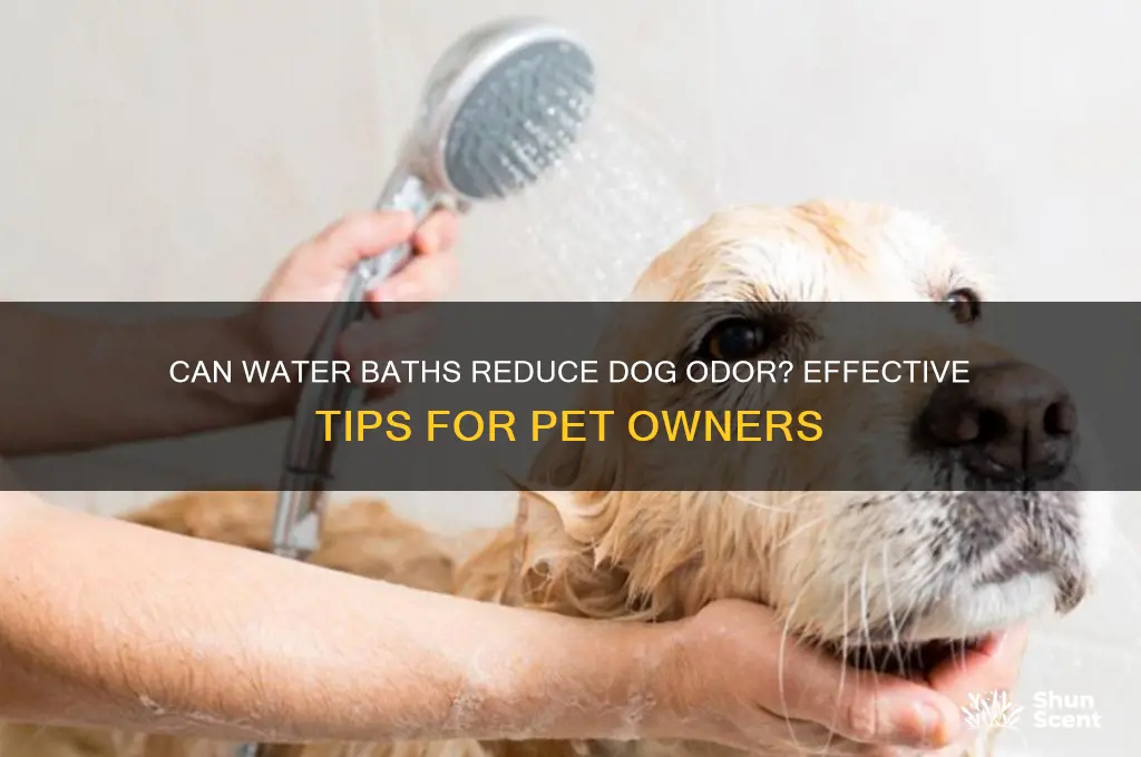 does water help lose scent from dogs