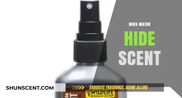 Can Water Mask Scents? Unveiling the Truth Behind Odor Concealment