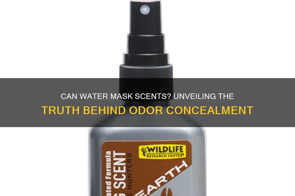 does water hide scent