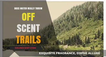 Can Water Disrupt Scent Trails? Unraveling the Myth and Facts