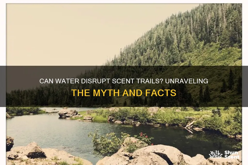 does water really throw off scent trails