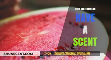 Does Watermelon Have a Scent? Uncovering the Truth Behind Its Aroma