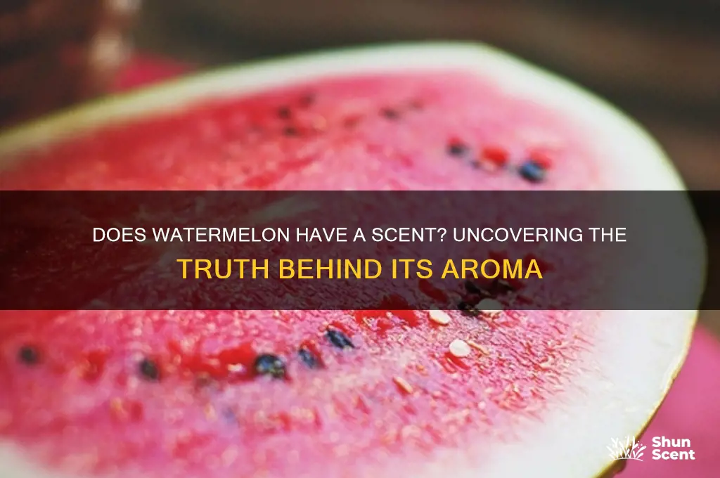does watermelon have a scent