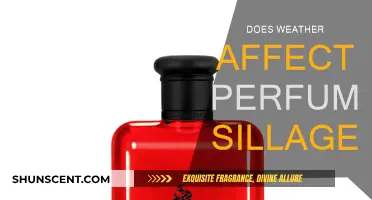 Weather's Impact on Perfume Sillage: A Guide