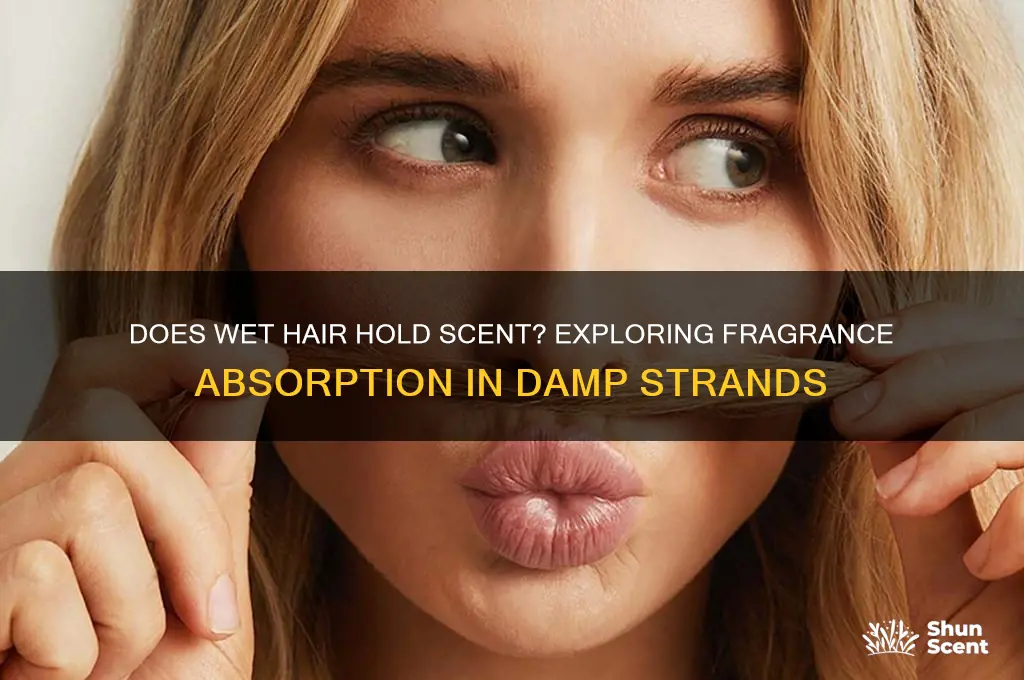 does wet hair hold scent