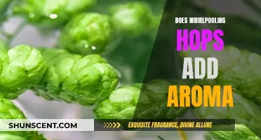 Whirlpooling Hops: Aroma Addition or Extraction Technique?