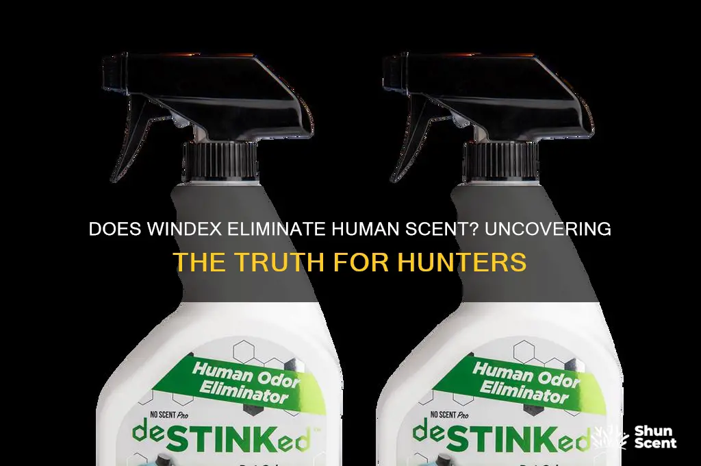 does windex get rid of human scent