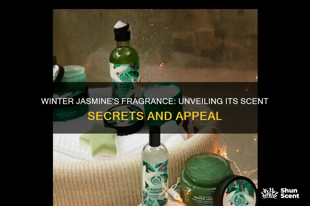 does winter jasmine have a scent