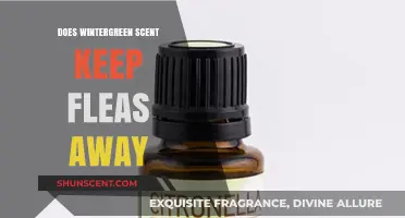 Wintergreen Scent: Effective Flea Repellent or Just a Myth?