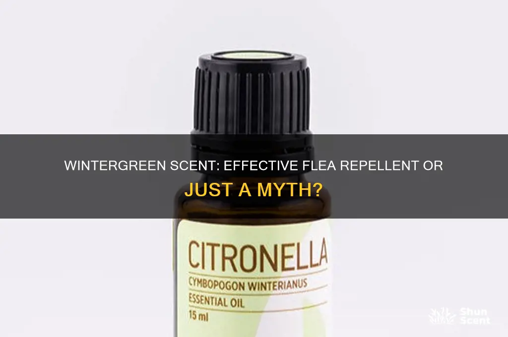 does wintergreen scent keep fleas away