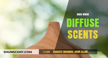 Wood's Aromatic Potential: Exploring Its Scent Diffusion Capabilities