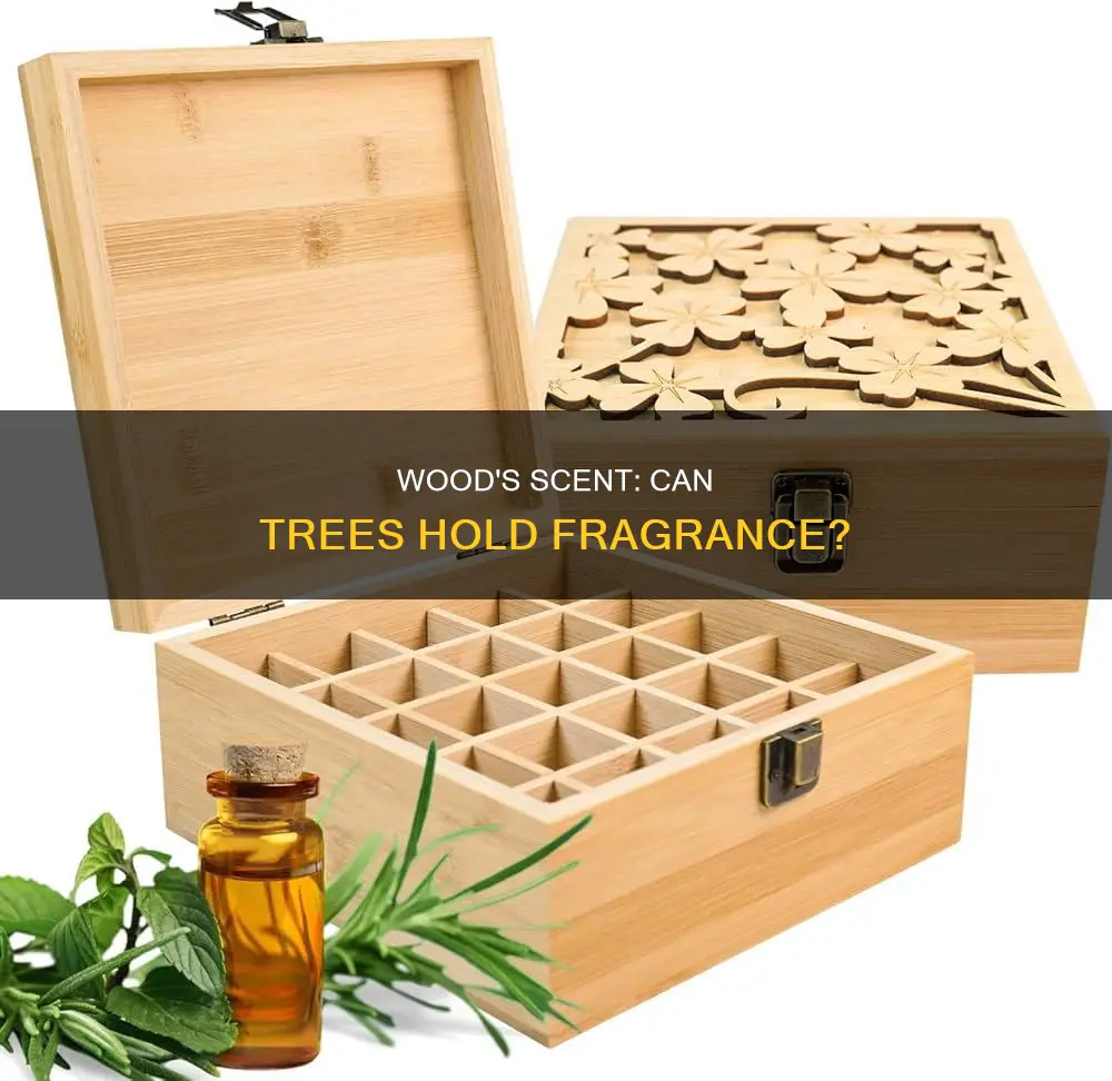 does wood hold fragrance