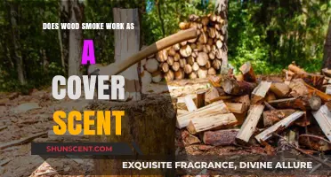 Wood Smoke as a Cover Scent: Effective Hunting Strategy or Myth?