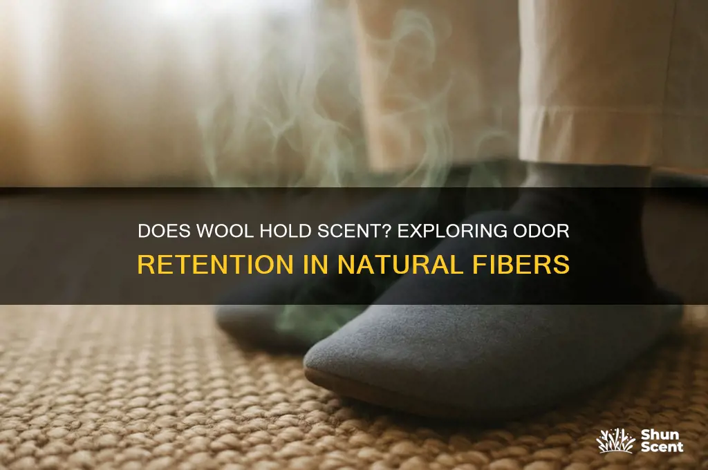 does wool hold scent