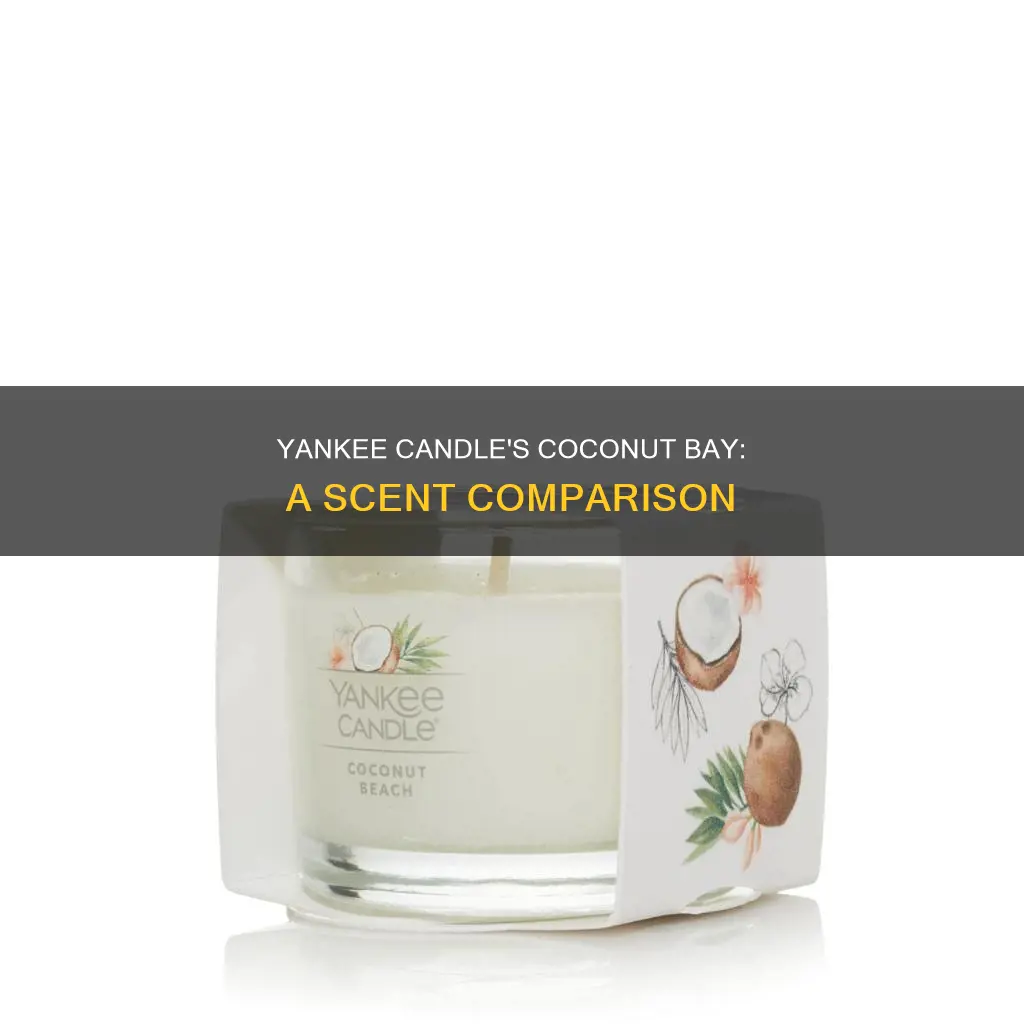 does yankee cancle make coconut bay fragrance any more