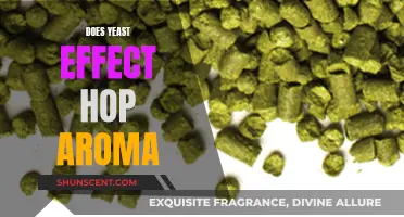 Yeast and Hop Aroma: The Interplay of Aromatics