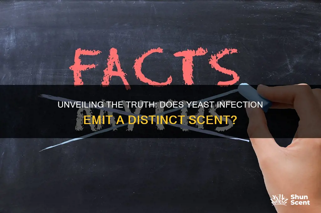 does yeast infection have a scent