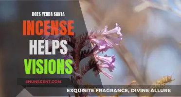 Yerba Santa Incense: Enhancing Visions and Dreams?