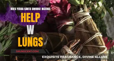 Yerba Santa Smudge Incense: Natural Lung Health Remedy?