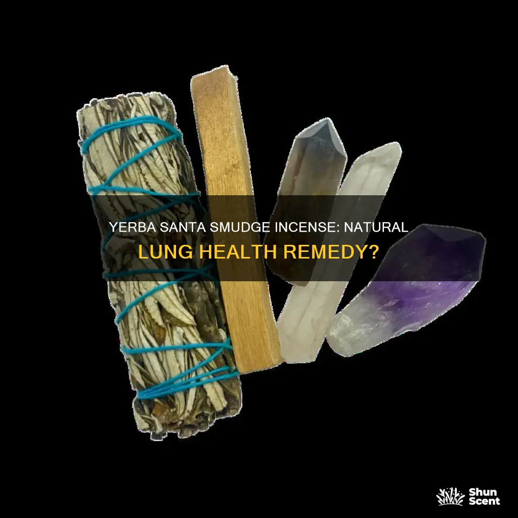 does yerba santa smudge incense help w lungs