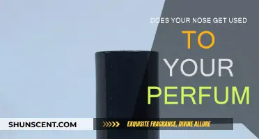 Why You Stop Smelling Your Perfume and How to Fix It