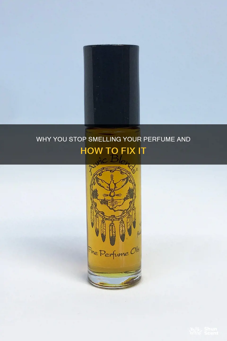 does your nose get used to your perfume