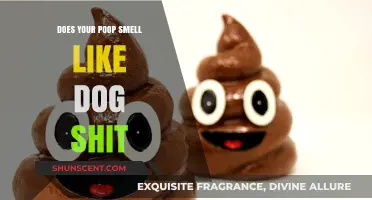 Unraveling the Mystery: Why Your Poop Might Smell Like Dog Waste