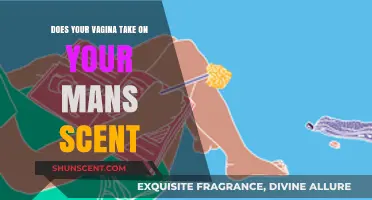 Does Your Vagina Absorb Your Partner's Scent? Exploring the Science