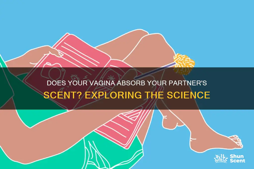 does your vagina take on your mans scent
