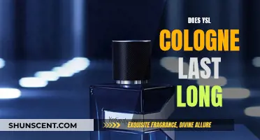 YSL Cologne: Long-Lasting Fragrance or Quick Fader?