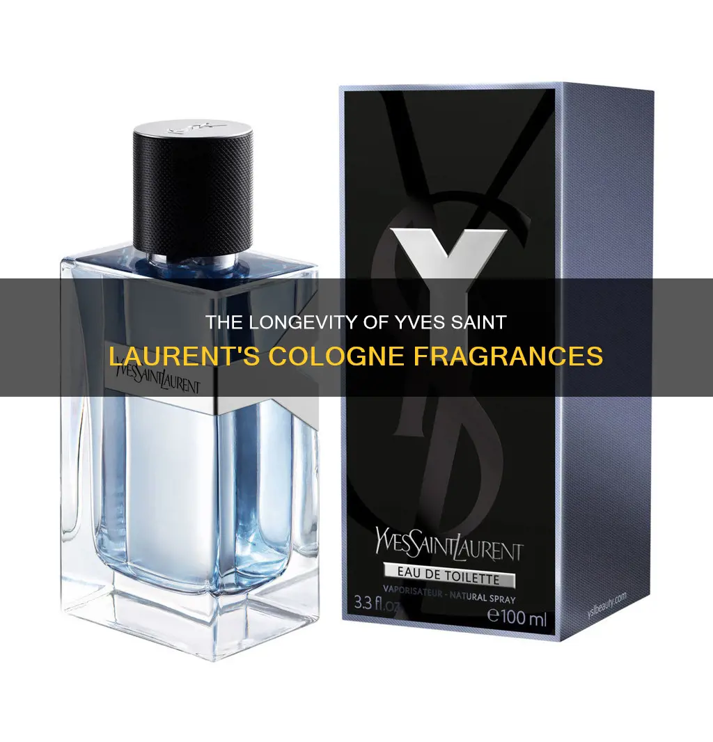 does yves saint laurent cologne last long