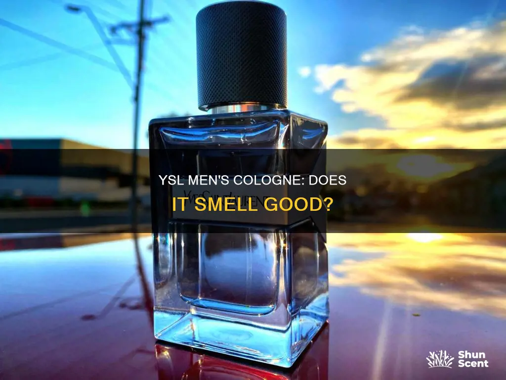 does yves saint laurent mens cologne smell good