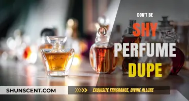 Dupe Alert: Don't Be Shy's Affordable Twin