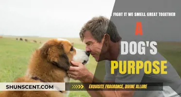 Embracing Canine Companions: A Tail-Wagging Journey of Friendship