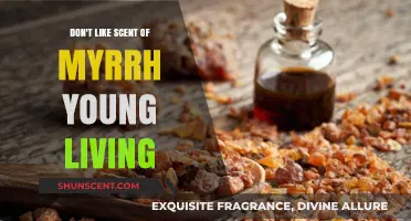 Why Myrrh Young Living’s Scent Isn’t for Everyone: My Honest Review