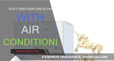 Perfume in Car: Why You Shouldn't Open It