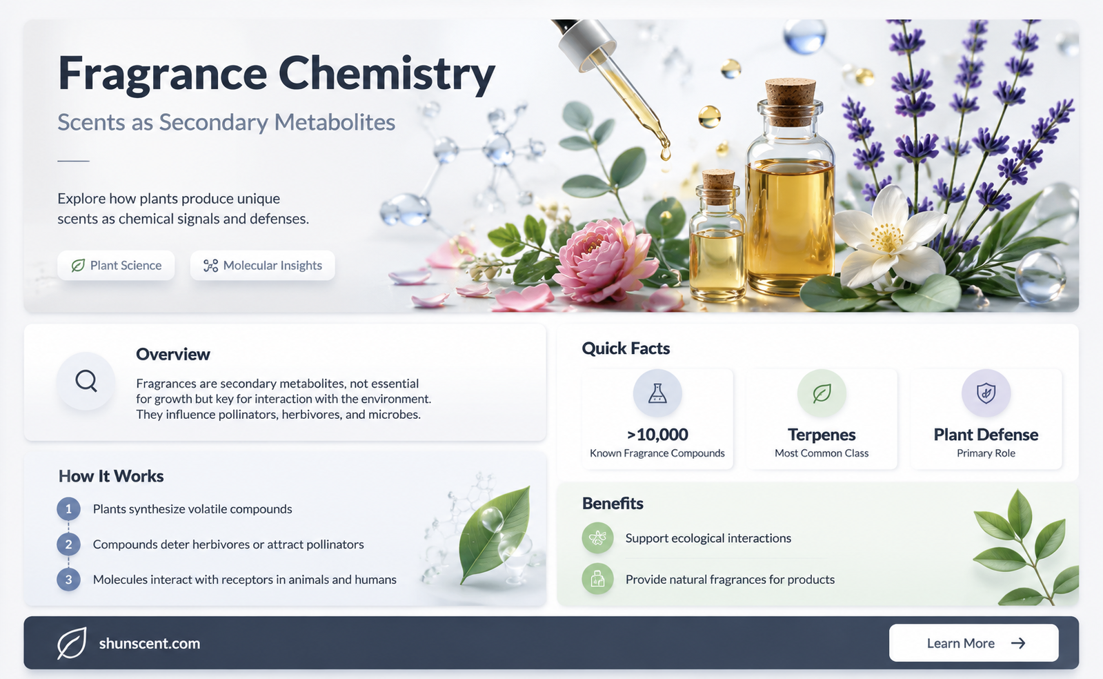 are fragrances secondary metabolites