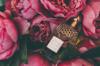 fragrances