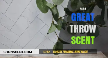 Discover the Power of a Great Throw Scent for Your Home