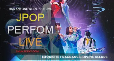 J-Pop Legends: Perfume's Live Performance Secrets