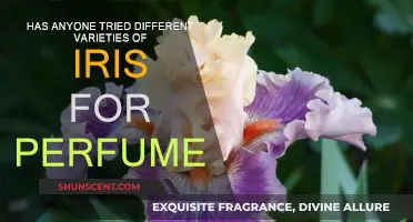 Exploring Iris Varieties for Unique Perfumes