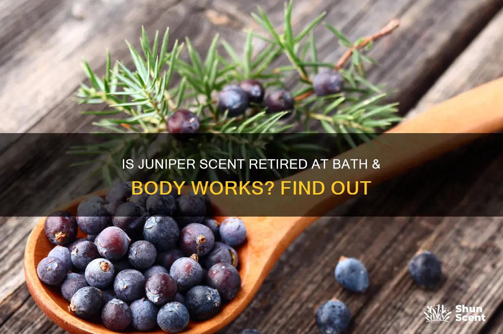has bath and body works retired juniper scent